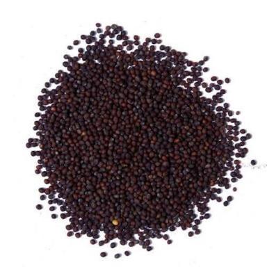 Natural Mustard Seeds With 1 Year Shelf Life, 50 Kg Packaging Size