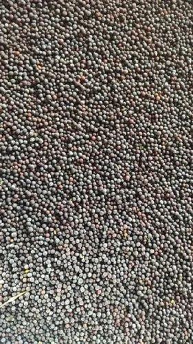 Organic 6 % Moisture, 1 % Admixture, 6.5 % Ash Edible Hybrid Black Mustard Seeds