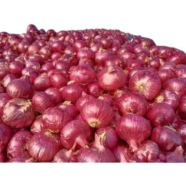 Pure And Natural Commonly Cultivated Round Fresh Onion