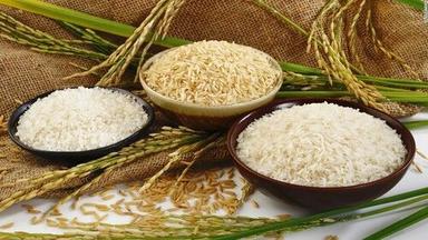 Long Grain White Basmati Rice, Packaging Size 25 - 50 Kg