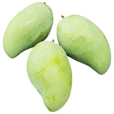 Common Commonly Cultivated Fresh And Pure Sweet And Sour Raw Whole Green Mangoes