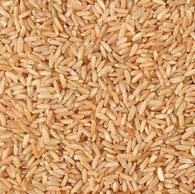 Commonly Cultivated Pure And Dried A Grade Short Grain Brown Rice Admixture (%): 5%