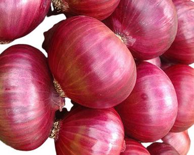 Pure And Natural Round Raw Fresh Red Onion Moisture (%): 86
