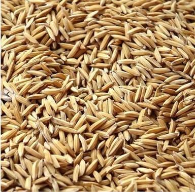 Pure And Natural Commonly Cultivated Dried Paddy Seeds  Admixture (%): 1%