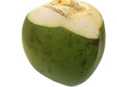 सामान्य रूप से उगाया जाने वाला स्वस्थ पूरी तरह से भूसा हुआ स्वादिष्ट ताजा कोमल नारियल बेस सामग्री: मेटल बेस 