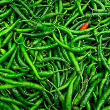 A Grade Chemical Free Pure And Natural Spicy Raw Fresh Green Chilli Moisture (%): 30%