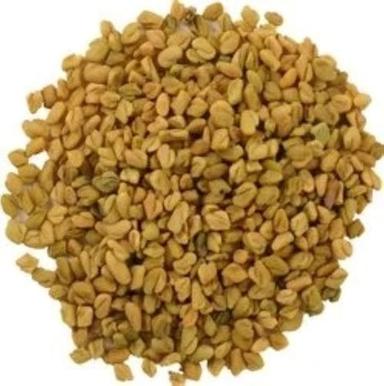 6.92% Moisture Content Edible Hybrid Dried Organic Fenugreek Spices Seeds Admixture (%): 1%