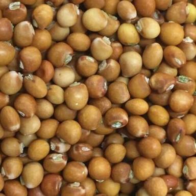 Pure And Sunlight Dried A Grade Edible Pigeon Peas For Agriculture Admixture (%): 0.1%