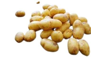 Washable Naturally Grown Oval Shape 5 Days Preserved In Cool Place Fresh Potato