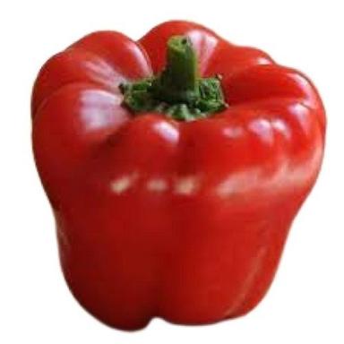 100% Pure And Fresh Naturally Grown Red Capsicum Moisture (%): 43.19%
