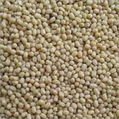 White Oval Shape Dried 100% Pure Natural Organic Whole Urad Dal