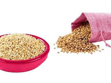 A Grade Indian Origin 100% Pure Whole Brown Wheat Grain Broken (%): 1%