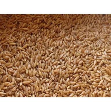 Natural Organic Unpolished Medium Grain Brown Bamboo Rice Application: Pharmaceutical