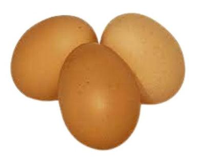 Fresh Oval Shape Brown Eggs Egg Origin: Chicken