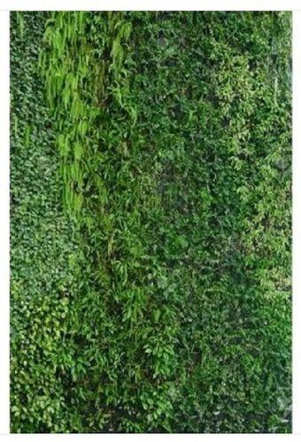 Green 90 X 95 X 170 Mm Eco Friendly Light Weight Natural Vertical Garden 