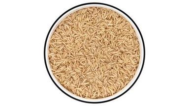 100% Pure Common Cultivated Dried Long Sized Grain Brown Rice Broken (%): 1%