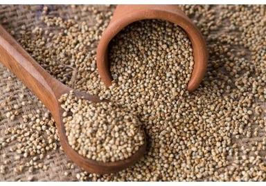 100% Pure Organic Pearl Millet For Multipurpose Use