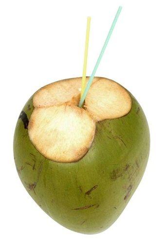सामान्य रूप से खेती की जाने वाली साबुत खेत ताजा हरा कोमल नारियल 