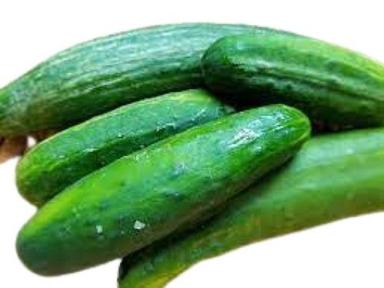 Long Shape Raw Healthy Naturally Grown Farm Fresh Green Cucumber Shelf Life: 3 Days