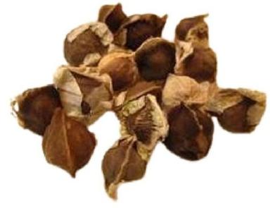 Common 100% Pure A Grade Dried Brown Moringa Seeds