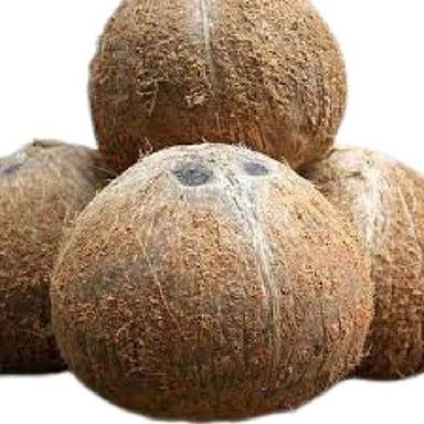 Common Brown Full Husked Round Shape Matured Dry Coconut 