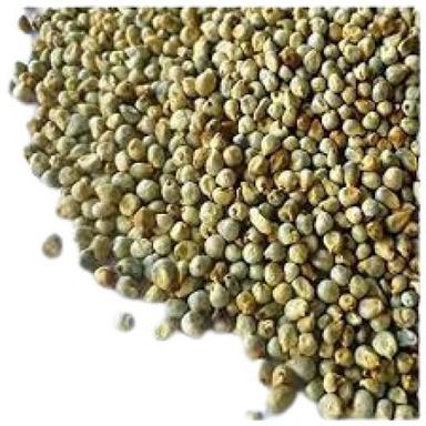 100% Pure Indian Origin Common Cultivated Dried Green Millet Crop Year: 6 Months