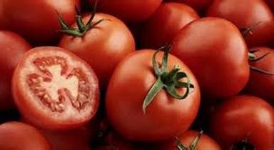 A Grade Indian Origin Naturally Grown Round Shape Fresh Tomato Shelf Life: 1 Week