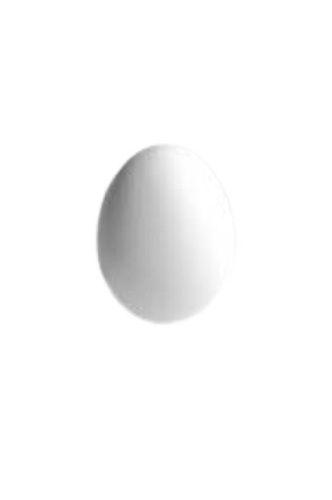 Oval Shape Medium Sized Broiler Chicken Origin Fresh White Egg Shelf Life: 1 Week