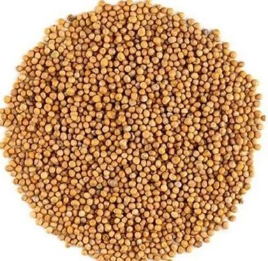 Organic Edible Sun Dry Yellow Mustard Seed Admixture (%): 5%