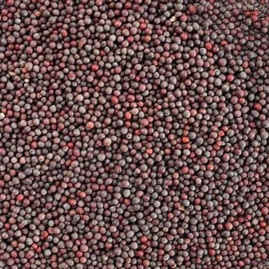 99% Pure And Dried Commonly Cultivated Black Mustard Seed Admixture (%): 1%