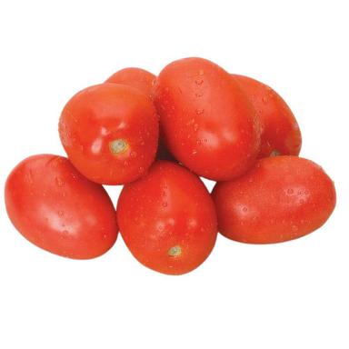 No Preservatives Added Pure And Natural Round Oval Fresh Juicy Tomatoes Moisture (%): 86%