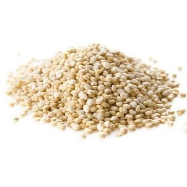 White 99 % Pure Common Cultivated Dried Solid Quinoa Seeds With 10 % Moisture