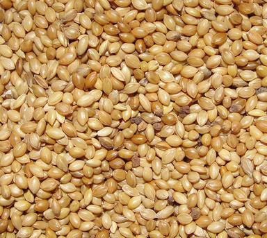 Bajra Makai Rala Wheat