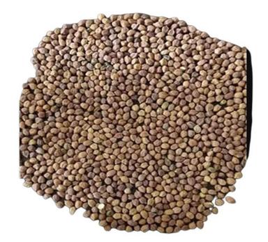 Sur Dried Common Chickpeas With 9.5% Moisture And 2% Admixture Broken (%): 1%