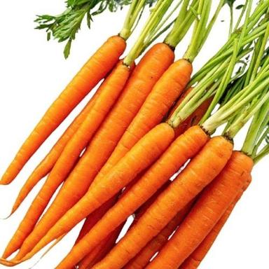 Raw Processed Long Shape Fresh Healthy And Sweet Taste Carrot Shelf Life: 1 Week