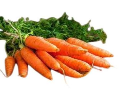 100% Organic And Farm Fresh Long Shape Raw Carrot Moisture (%): 90%