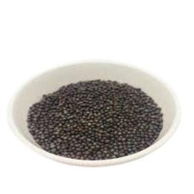Black 100% Pure A Grade Nutrients Edible Increase Immunity Dried Mustard Seed