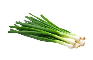 A Grade Commonly Cultivated Raw Seasoned Fresh Spring Onion Moisture (%): 10%