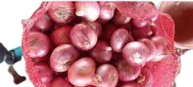 Farm Fresh Round Shape Raw Red Onion Shelf Life: 1 Week