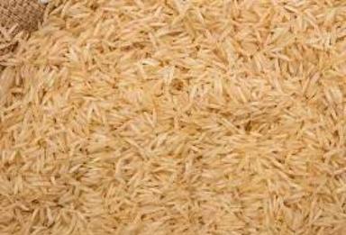 100% Pure And Indian Origin Dried Long Grain White Rice Broken (%): 1%