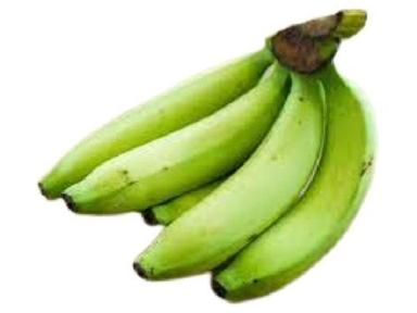 Common Naturally Grown Long Shape Raw Green Banana