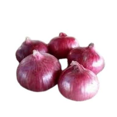 Round Shape Naturally Grown Fresh Red Onion Moisture (%): 88 %