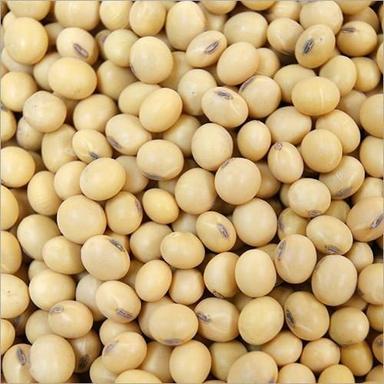 A Grade Commonly Cultivated Raw And Dried Whole Soybean Seed Admixture (%): 1%