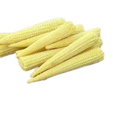 Light Yellow Commonly Cultivated 1005 Pure Medium Size Soft Farm Fresh Tasty Baby Corn