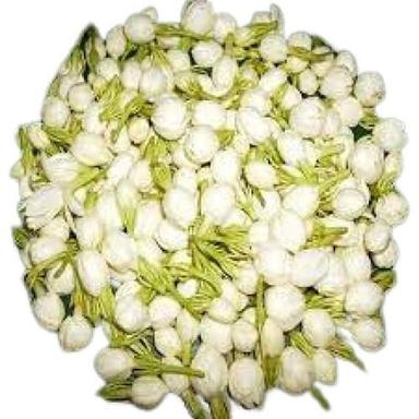 White Round Shape Fresh Jasmine Fragrant Flower 
