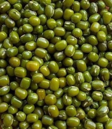100% Dried Healthy Whole And Lentils Commonly Cultivated Mung Bean Admixture (%): 15%