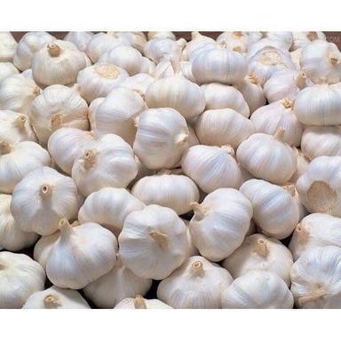 100% Natural Healthy A Grade Round Raw And Seasoned Fresh Garlic Moisture (%): 10%