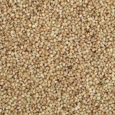 A Grade Raw And Dried Common Cultivated Organic Millet Admixture (%): 0.25%