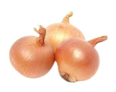 Low Calorie Fresh Naturally Grown Round Shape Onions  Moisture (%): 90%