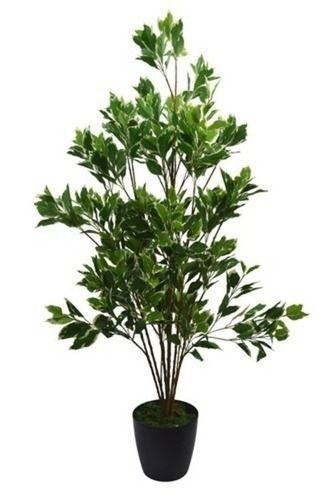 20 Cm Durable And Water Resistant Plastic Ficus Artificial Plant For Decorative Weight: 280 Grams (G)